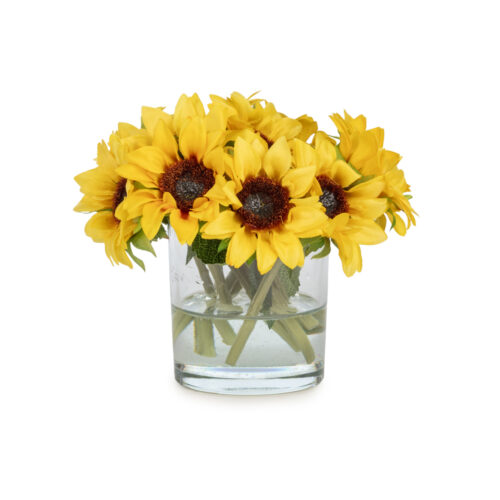 Mini Jelli Ayçiçeği Aranjman (16 CM)