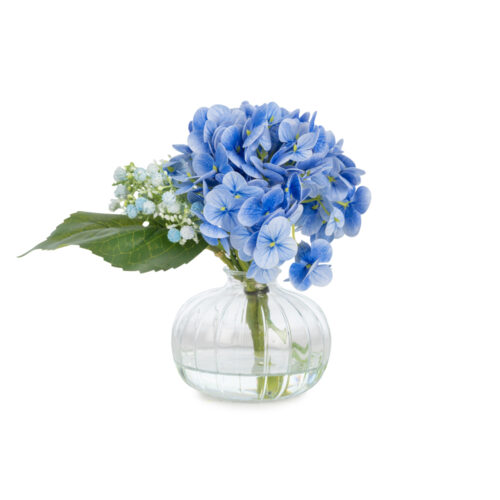 Jelli Islak Dokulu Mavi Ortanca Aranjman (20 CM)