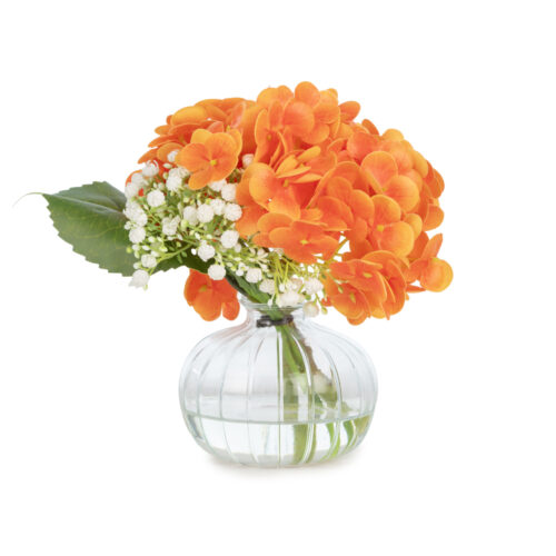 Jelli Islak Dokulu Orange Ortanca Aranjman (20 CM)