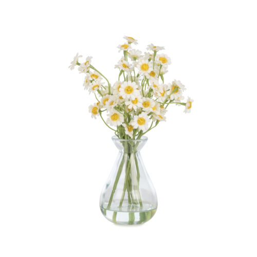 Mini Jelli Kır Papatya Aranjman (20 CM)