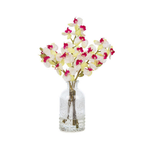 Mini Jelli Çıtır Orkide Aranjman (30 CM)