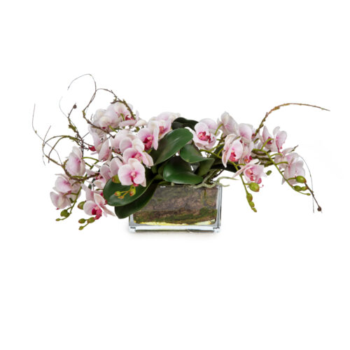 Jelli Islak Dokulu Modern Tasarım Orkide Aranjman (22 CM)