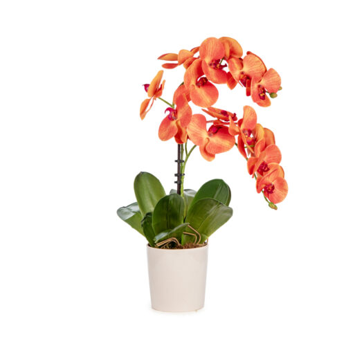 Islak Dokulu Turuncu Phalaenopsis Orkide Aranjman (50 CM)
