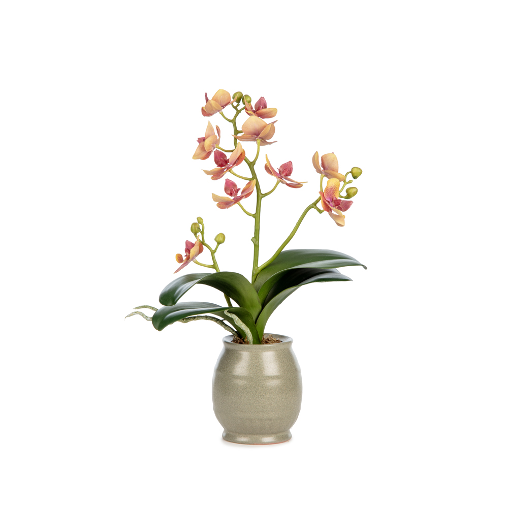 Islak Dokulu Mauve Orkide Aranjman (33 CM) Islak Dokulu Mauve Orkide Aranjman (33 CM)