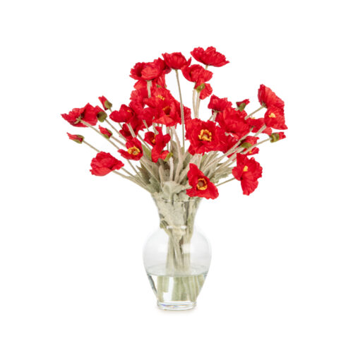 Jelli Cam Vazoda Kırmızı Gelincik Aranjman (40 CM)