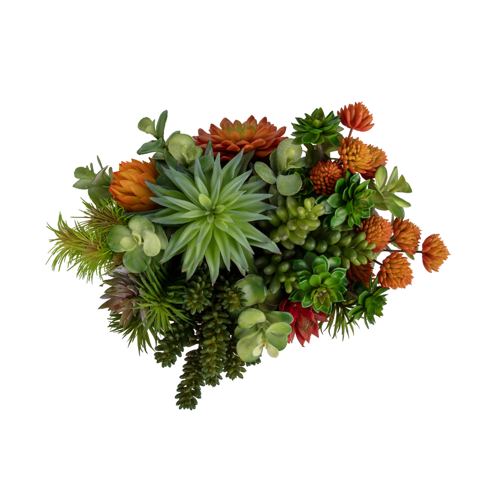 Metal Tabakta Karışık Sukkulent Aranjman (16 CM) Metal Tabakta Karışık Sukkulent Aranjman (16 CM) - Görsel 2