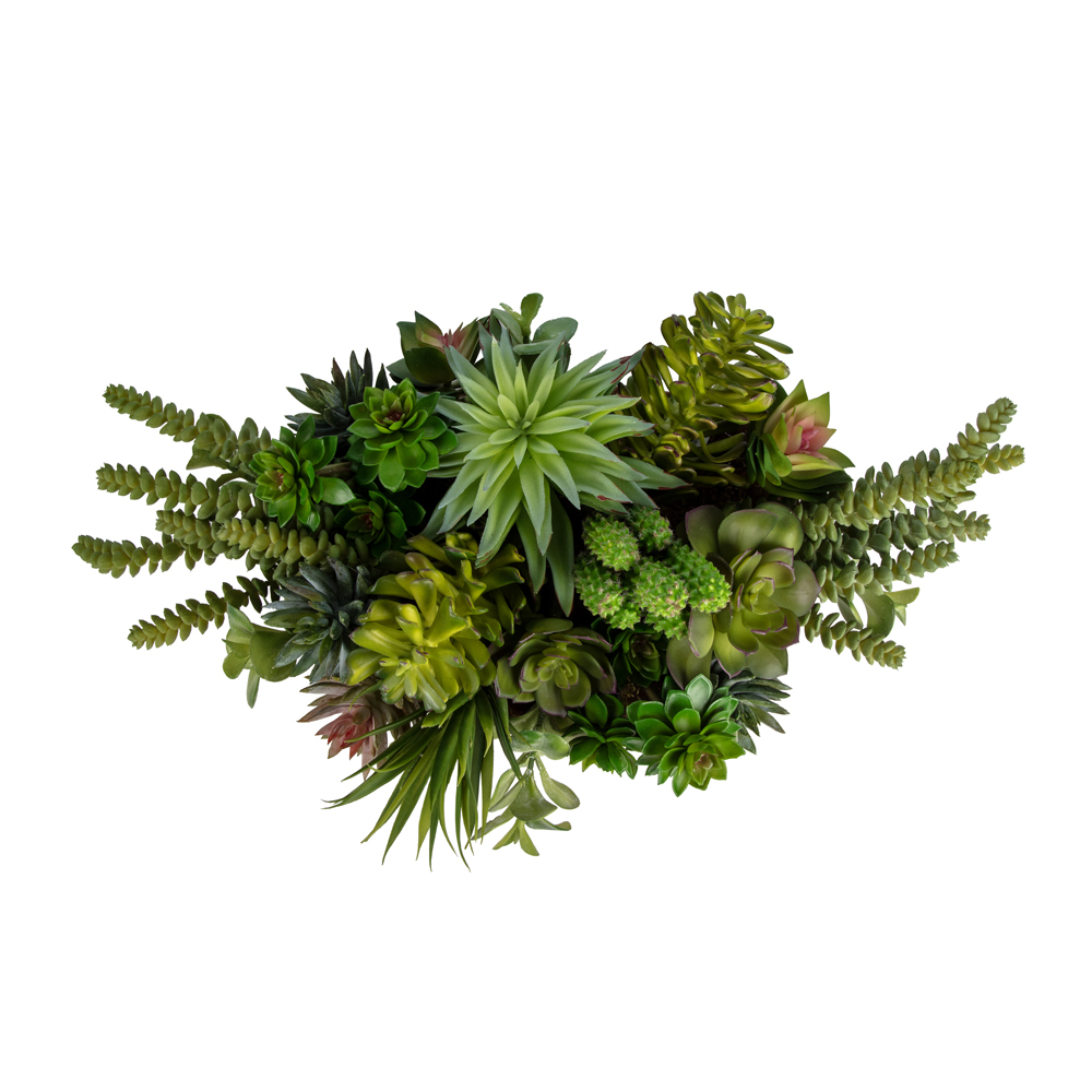 Metal Tabakta Karışık Sukkulent Aranjman (16 CM) Metal Tabakta Karışık Sukkulent Aranjman (16 CM) - Görsel 2