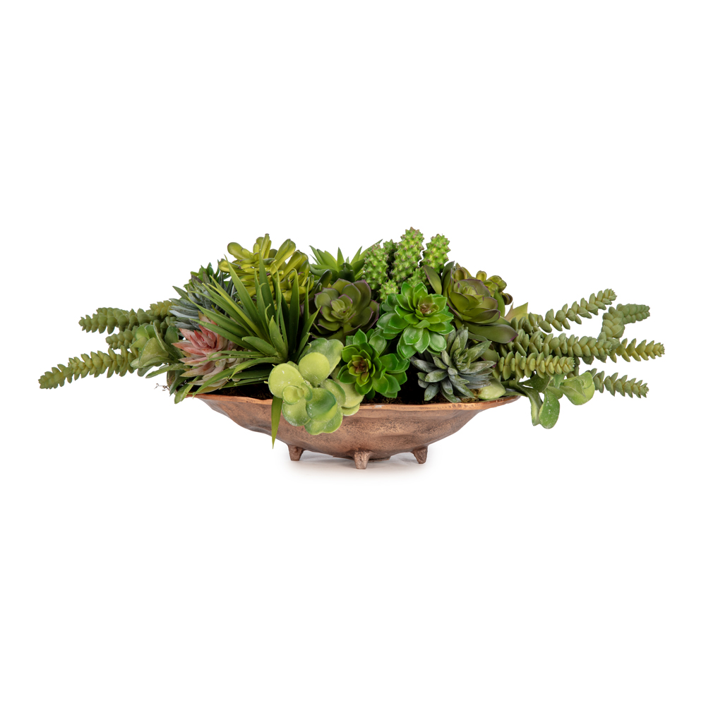 Metal Tabakta Karışık Sukkulent Aranjman (16 CM) Metal Tabakta Karışık Sukkulent Aranjman (16 CM)