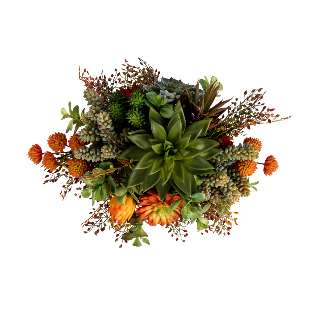 Metal Tabakta Karışık Sukkulent Aranjman (16 CM) Metal Tabakta Karışık Sukkulent Aranjman (16 CM) - Görsel 2