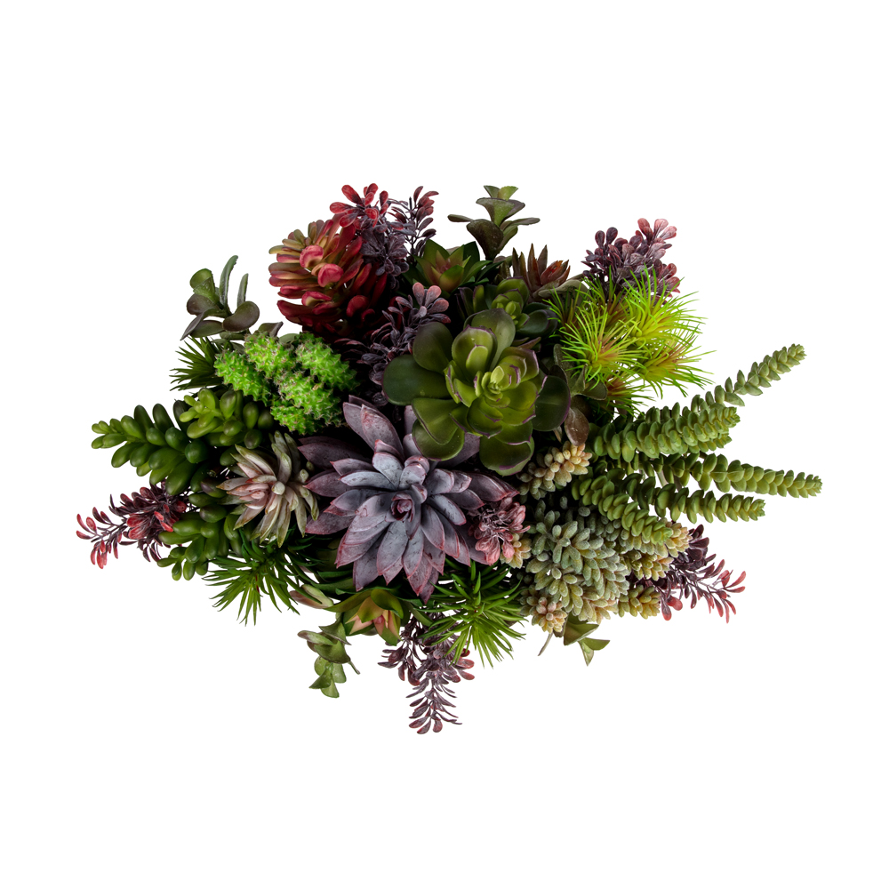 Metal Tabakta Karışık Sukkulent Aranjman (16 CM) Metal Tabakta Karışık Sukkulent Aranjman (16 CM) - Görsel 2