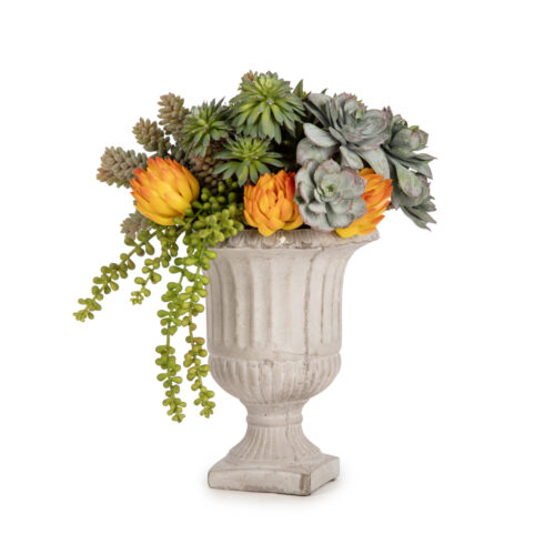 Beton Kupada Karışık Sukkulent Aranjman (30 CM)
