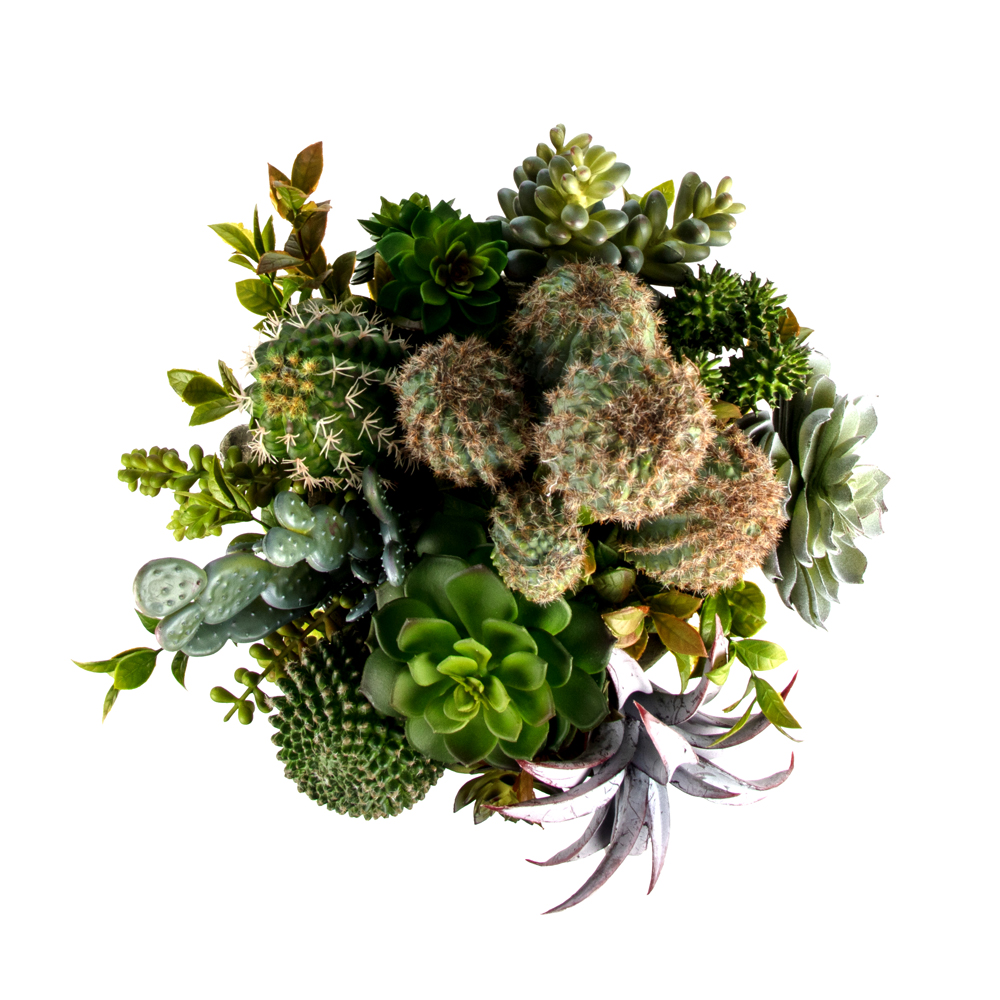 Vintage Beton Kupada Karışık Sukkulent Aranjman (40 CM) Vintage Beton Kupada Karışık Sukkulent Aranjman (40 CM) - Görsel 2