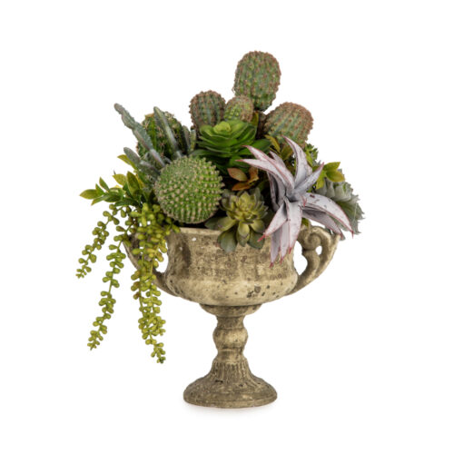 Vintage Beton Kupada Karışık Sukkulent Aranjman (40 CM)