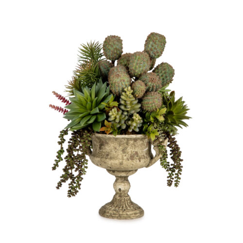 Vintage Beton Kupada Karışık Sukkulent Aranjman (50 CM)