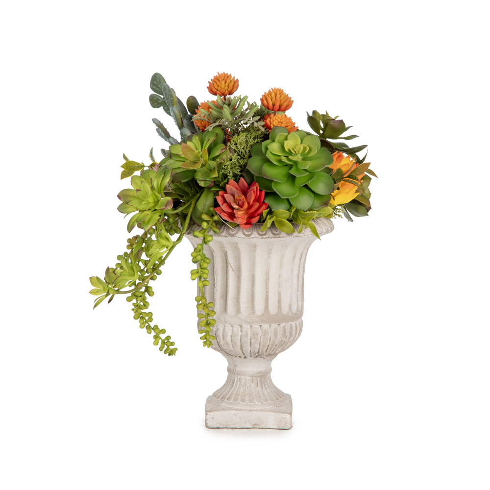 Beton Kupada Karışık Sukkulent Aranjman (35 CM) Beton Kupada Karışık Sukkulent Aranjman (35 CM)