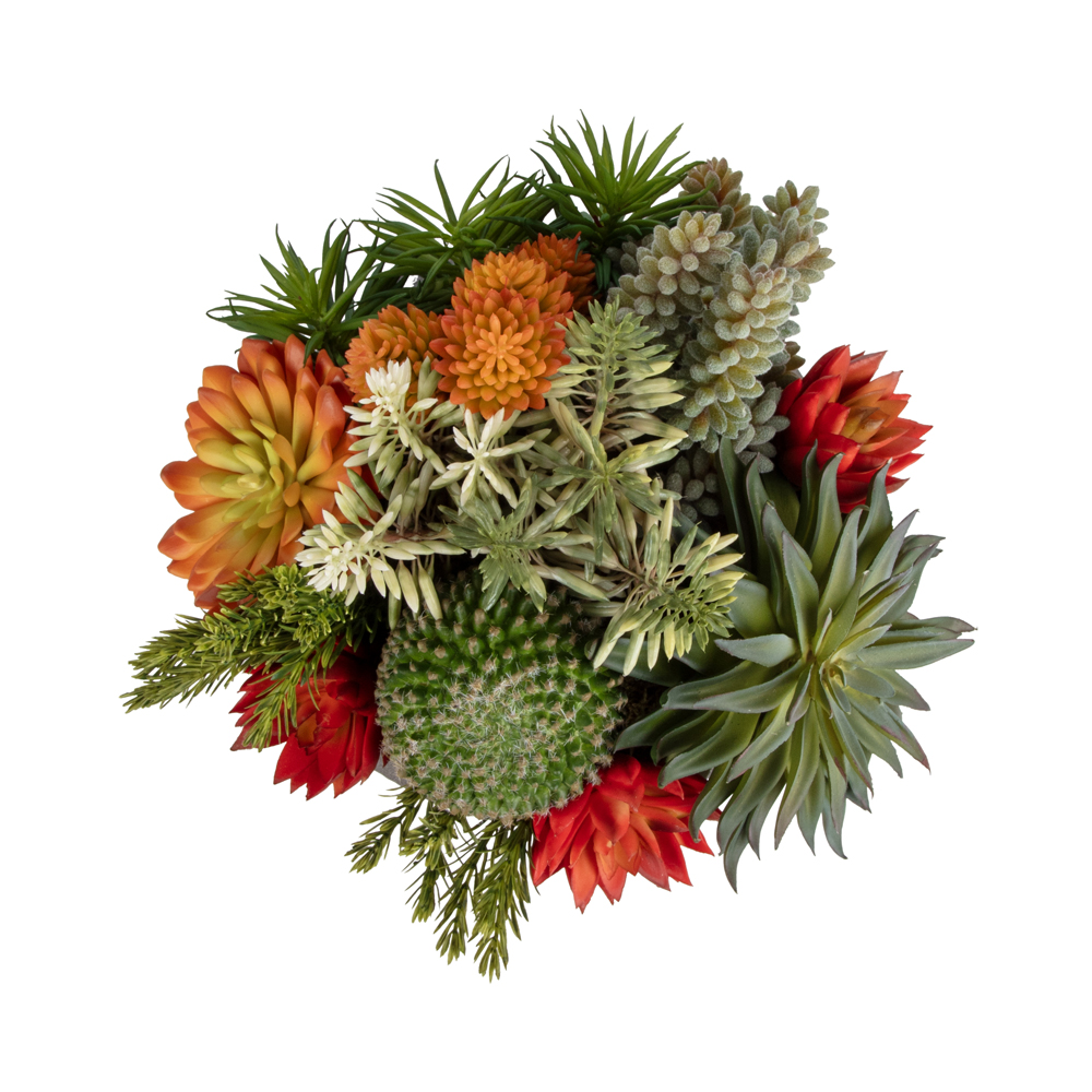 Metal Tabak Karışık Sukkulent Aranjman (22 CM) Metal Tabak Karışık Sukkulent Aranjman (22 CM) - Görsel 2