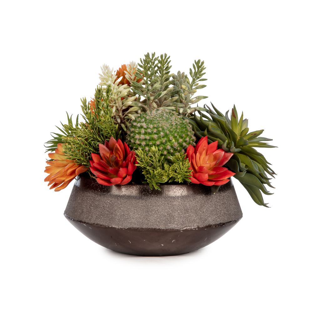 Metal Tabak Karışık Sukkulent Aranjman (22 CM) Metal Tabak Karışık Sukkulent Aranjman (22 CM)
