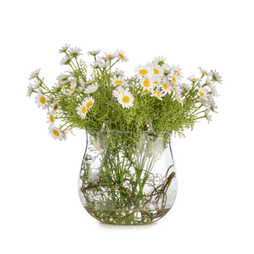 Jelli Cam Çanta Papatya Aranjman (34 CM)