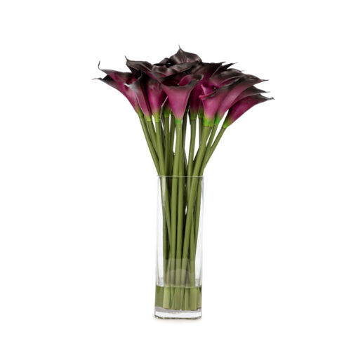 Jelli Islak Dokulu Kare Cam Vazoda Purple Gala Aranjman (60 CM) Jelli Islak Dokulu Kare Cam Vazoda Purple Gala Aranjman (60 CM)
