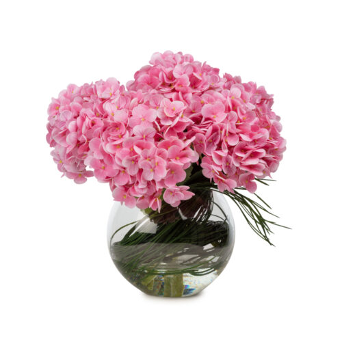 Akvaryum Camda Jelli Islak Dokulu Pembe Ortanca Aranjman (30 CM)