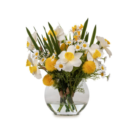 Akvaryum Camda Jelli Islak Dokulu Nergis Aranjman (40 CM)