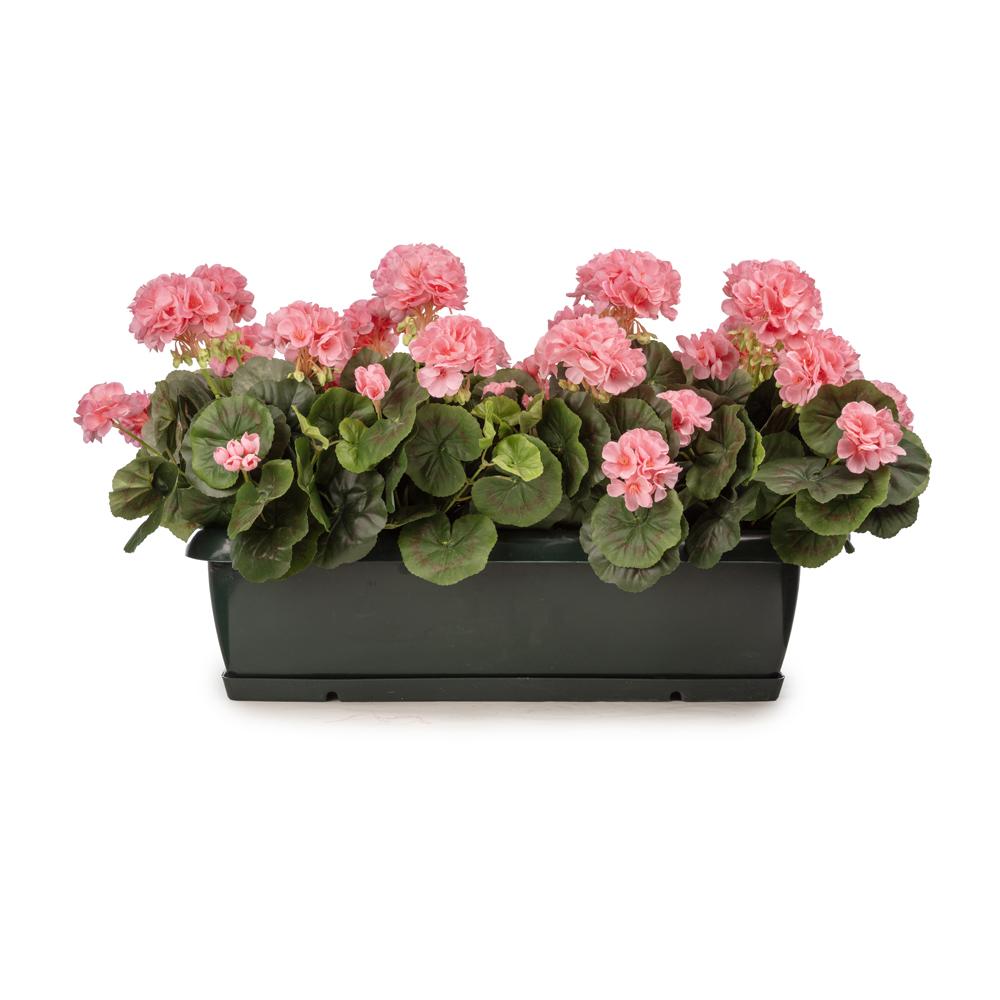 Balkon Saksısı Pembe Sardunya Aranjman (70 CM) Balkon Saksısı Pembe Sardunya Aranjman (70 CM)