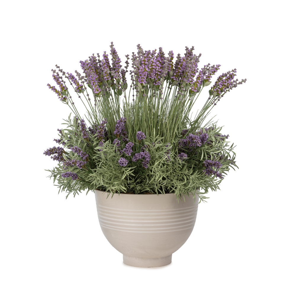 Saksıda Lilac Lavanta Aranjman (70 CM) Saksıda Lilac Lavanta Aranjman (70 CM)