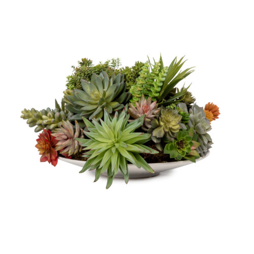 Tabakta Sukkulent Karışık Aranjman (40 CM)