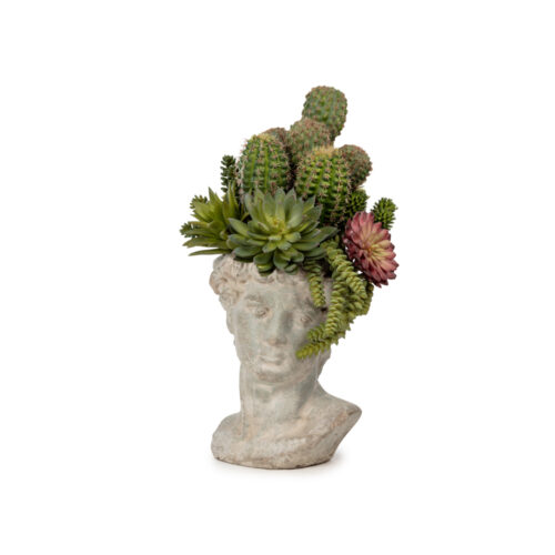 Vintage Büst Sukkulent Karışık Aranjman (46 CM)