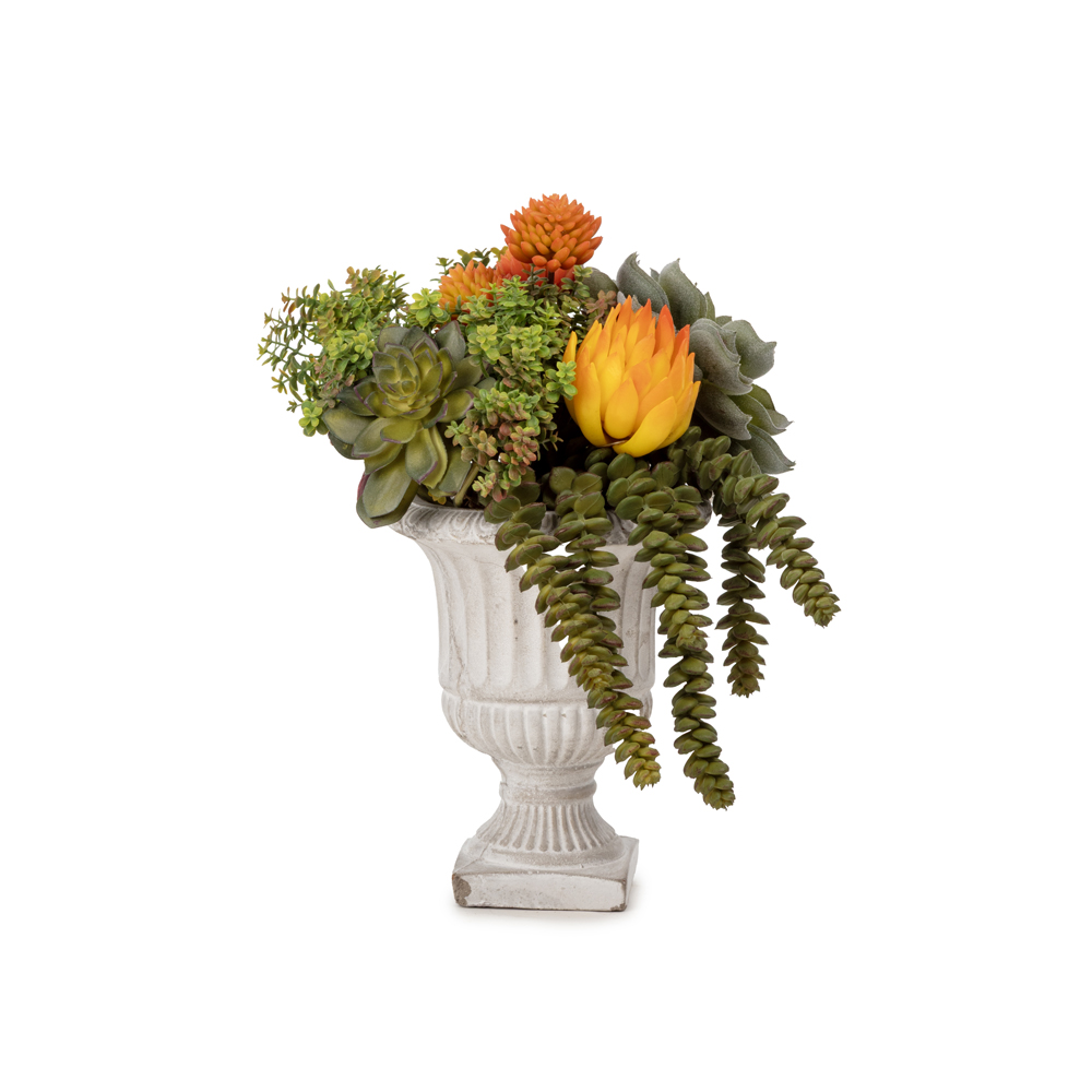 Vintage Kupa Sukkulent Karışık Aranjman (30 CM) Vintage Kupa Sukkulent Karışık Aranjman (30 CM)