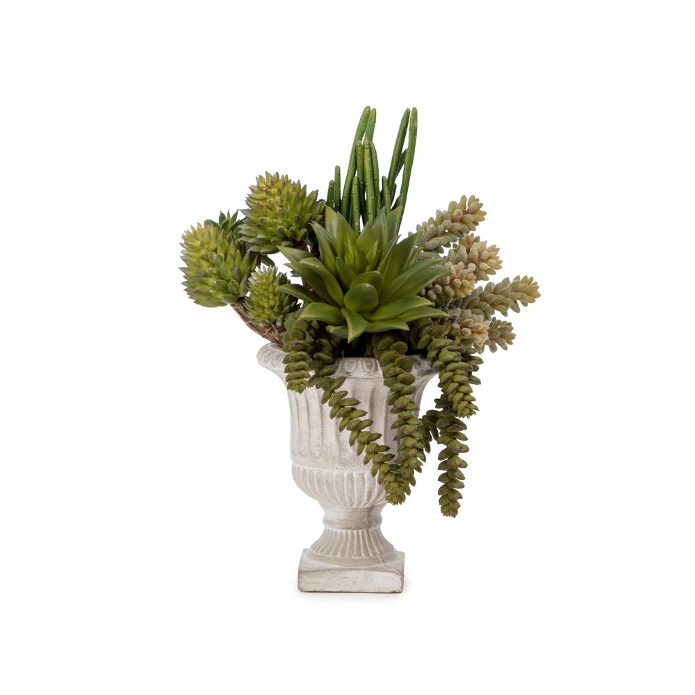 Vintage Kupa Sukkulent Karışık Aranjman (30 CM) Vintage Kupa Sukkulent Karışık Aranjman (30 CM)