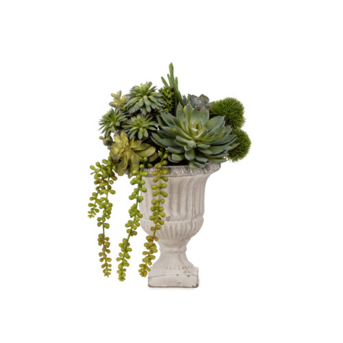 Vintage Kupa Sukkulent Karışık Aranjman (30 CM) Vintage Kupa Sukkulent Karışık Aranjman (30 CM)