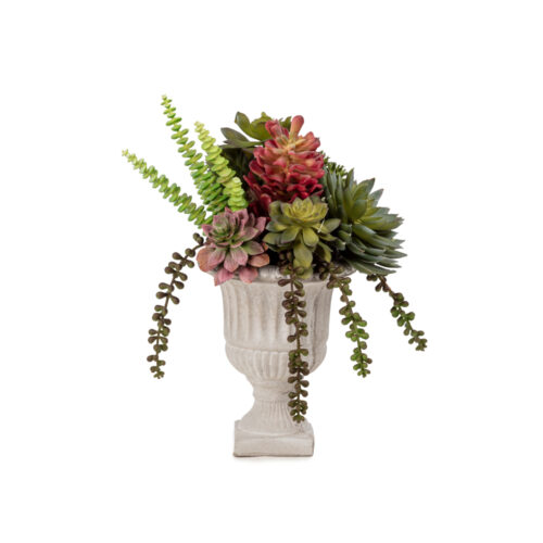 Vintage Kupa Sukkulent Karışık Aranjman (30 CM)