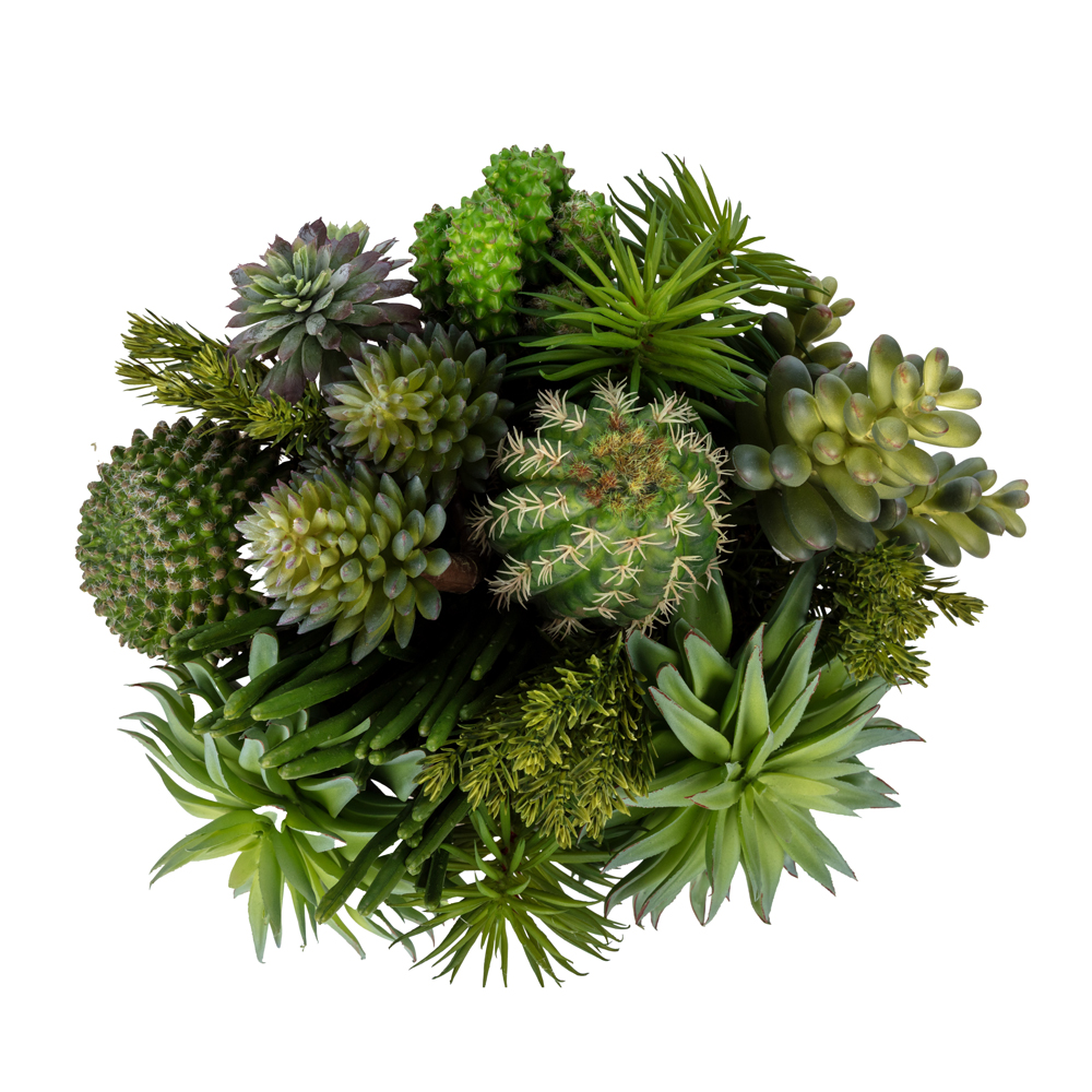 Metal Tabak Sukkulent Aranjman (22 CM) Metal Tabak Sukkulent Aranjman (22 CM) - Görsel 2