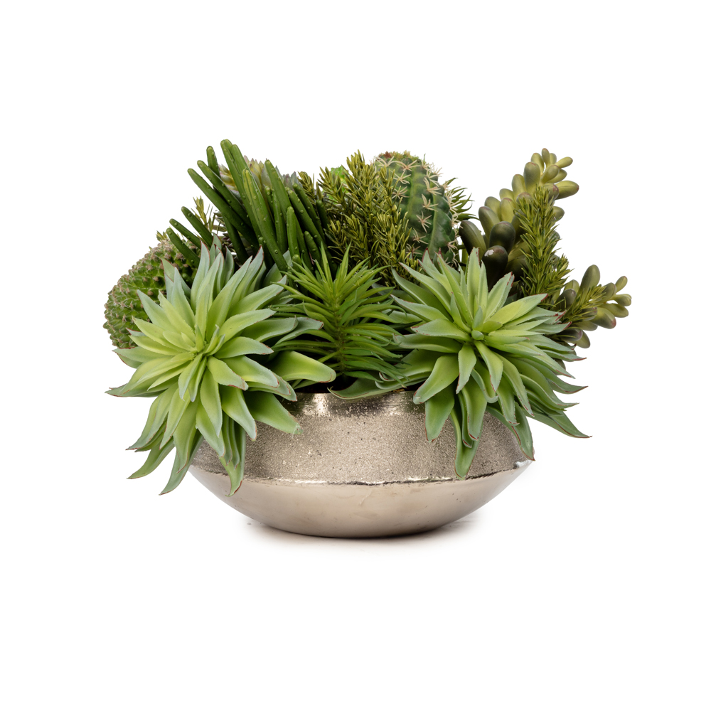 Metal Tabak Sukkulent Aranjman (22 CM) Metal Tabak Sukkulent Aranjman (22 CM)