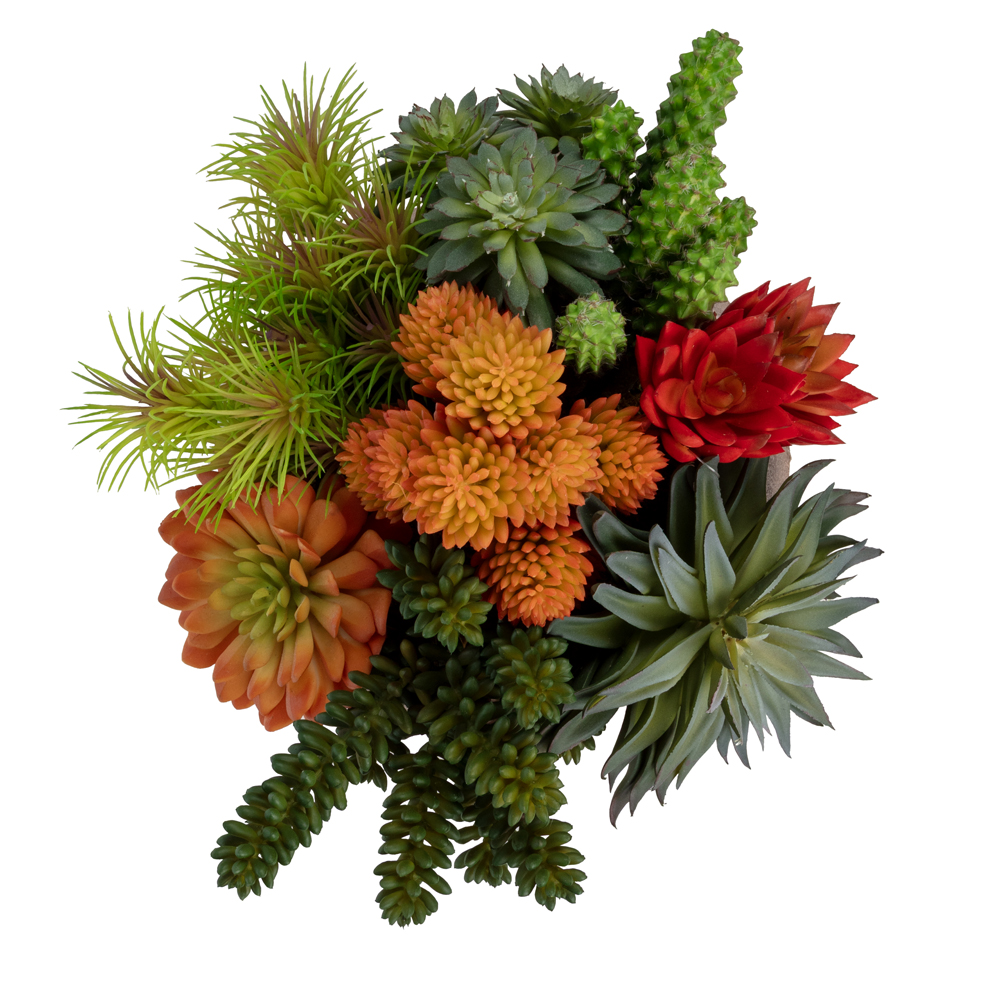 Metal Tabak Sukkulent Aranjman (20 CM) Metal Tabak Sukkulent Aranjman (20 CM) - Görsel 2