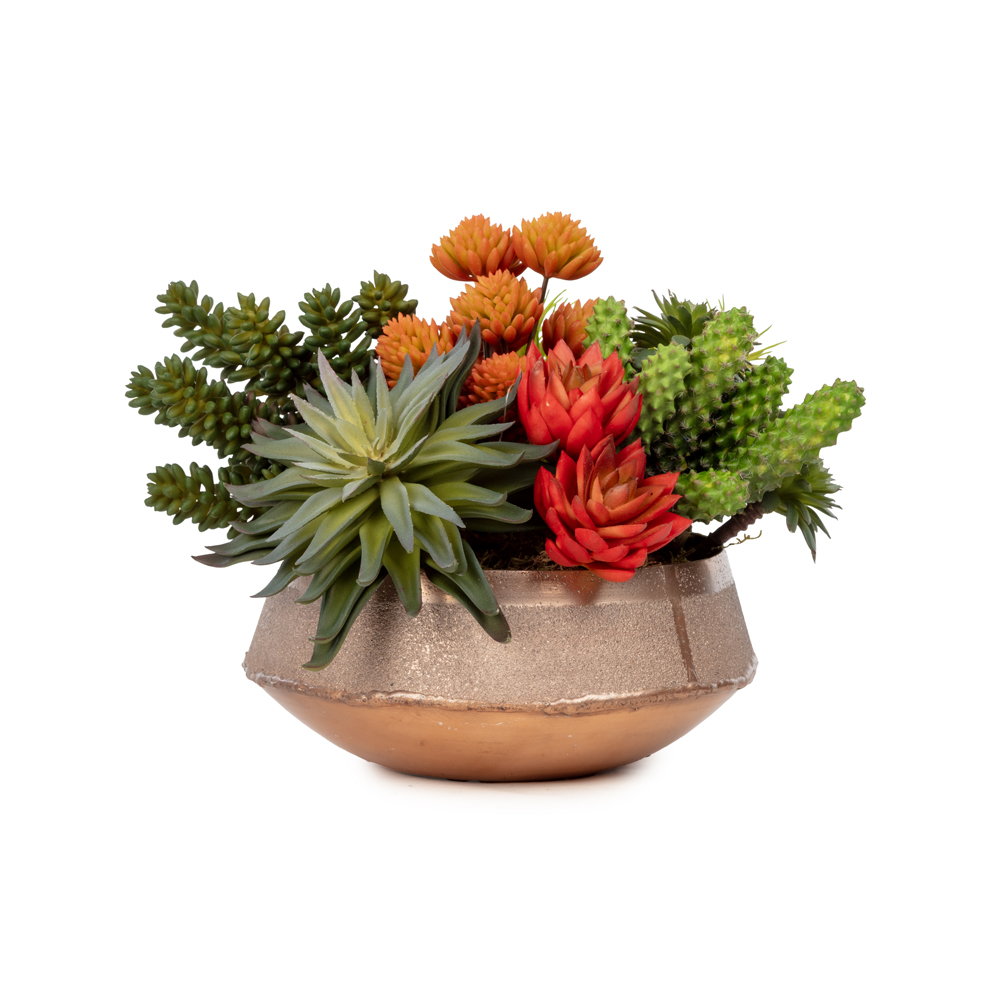 Metal Tabak Sukkulent Aranjman (20 CM) Metal Tabak Sukkulent Aranjman (20 CM)