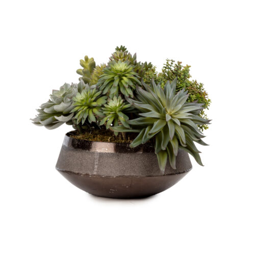 Metal Tabak Sukkulent Aranjman (20 CM)