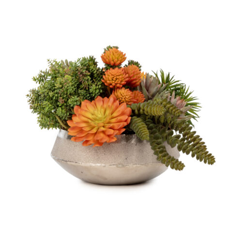 Metal Tabak Sukkulent Aranjman (20 CM)