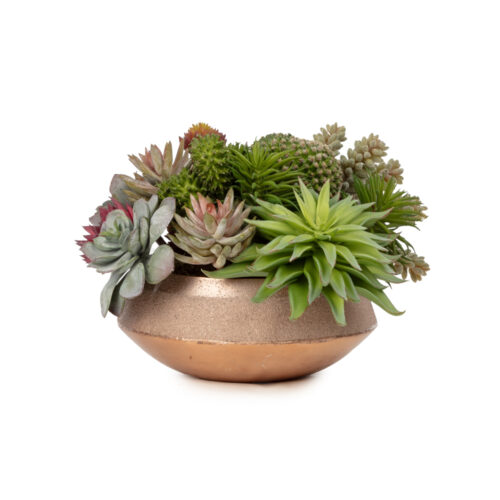 Metal Tabak Sukkulent Aranjman (20 CM)
