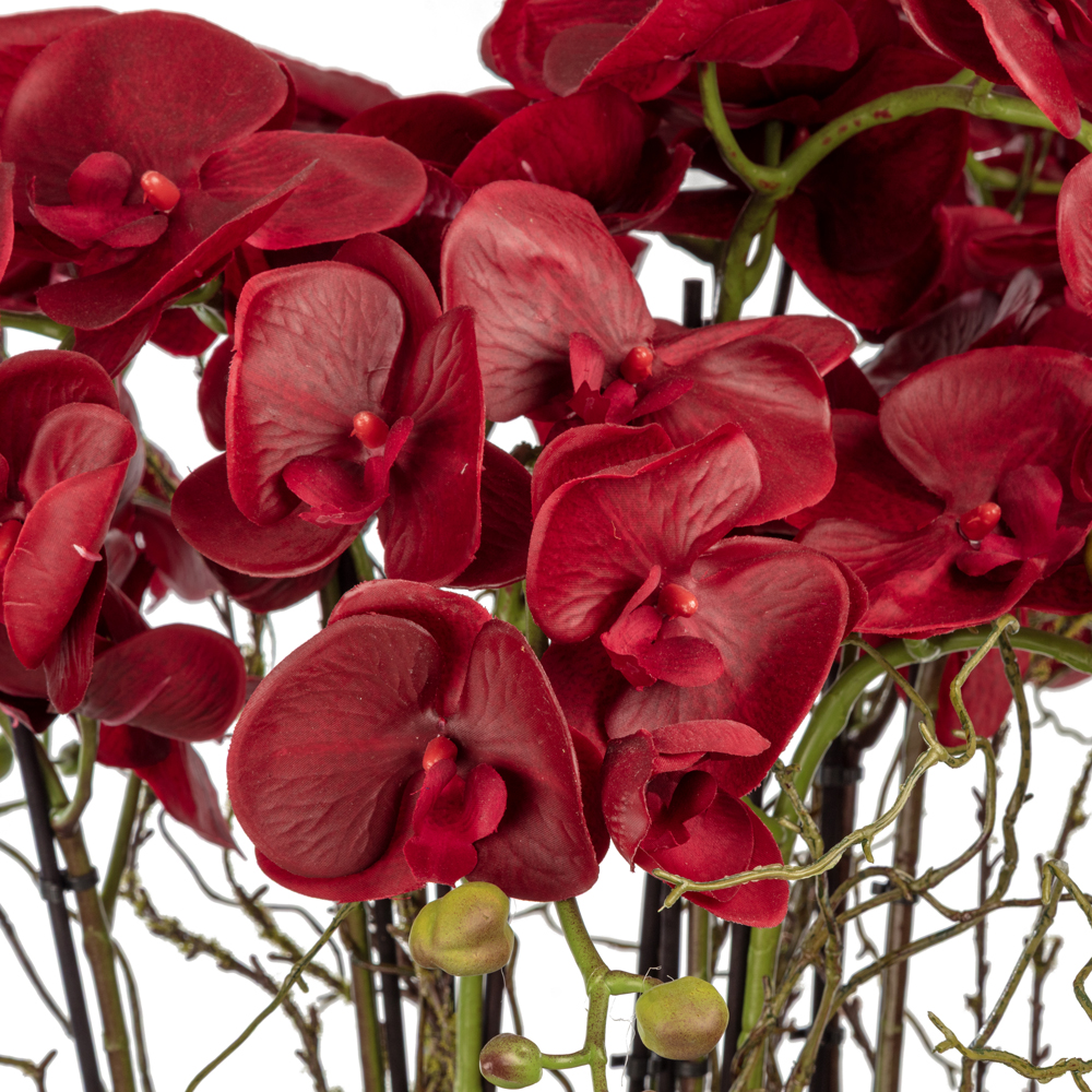 Metal Saksıda Islak Dokulu Bordo Orkide Aranjman (75 CM) Metal Saksıda Islak Dokulu Bordo Orkide Aranjman (75 CM) - Görsel 2