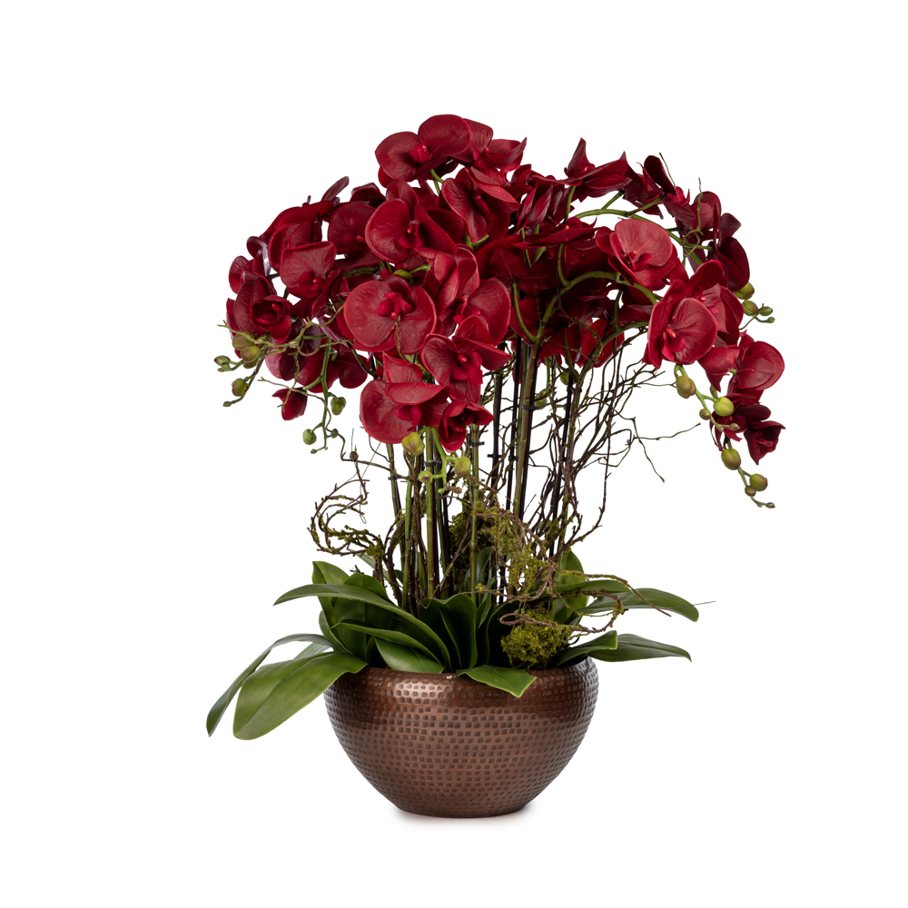 Metal Saksıda Islak Dokulu Bordo Orkide Aranjman (75 CM) Metal Saksıda Islak Dokulu Bordo Orkide Aranjman (75 CM)