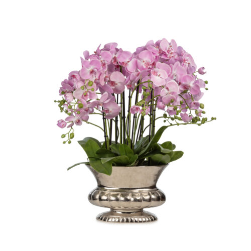 Metal Saksıda Islak Dokulu Pembe Orkide Aranjman (70 CM)
