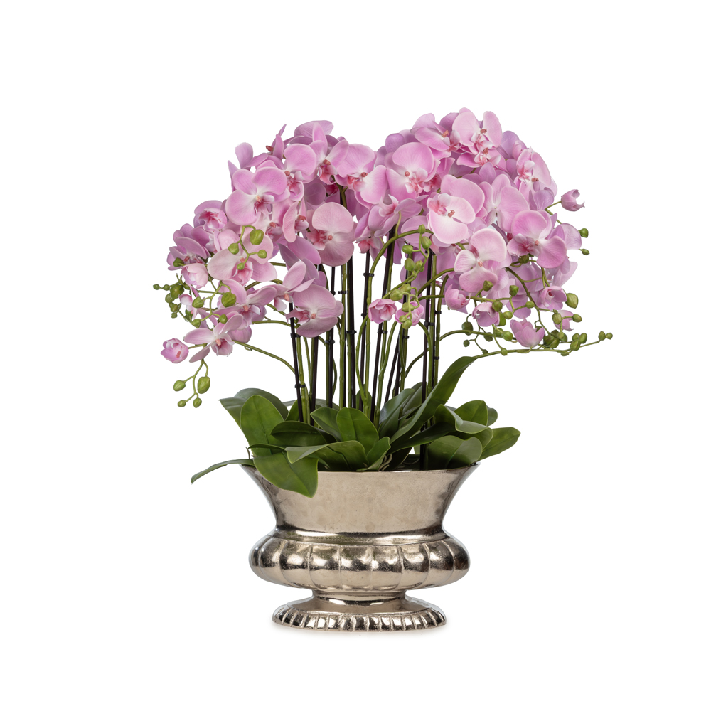 Metal Saksıda Islak Dokulu Pembe Orkide Aranjman (70 CM) Metal Saksıda Islak Dokulu Pembe Orkide Aranjman (70 CM)