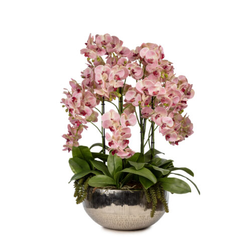 Metal Saksıda Islak Dokulu Pembe Orkide Aranjman (80 CM)