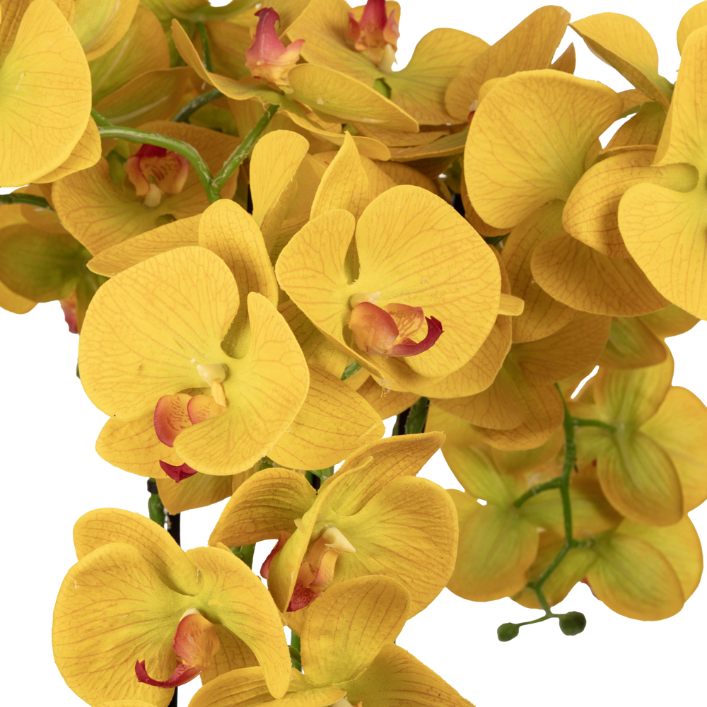 Metal Saksıda Islak Dokulu Sarı Orkide Aranjman (57 CM) Metal Saksıda Islak Dokulu Sarı Orkide Aranjman (57 CM) - Görsel 2