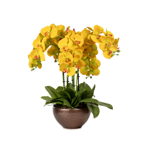 Metal Saksıda Islak Dokulu Sarı Orkide Aranjman (57 CM)
