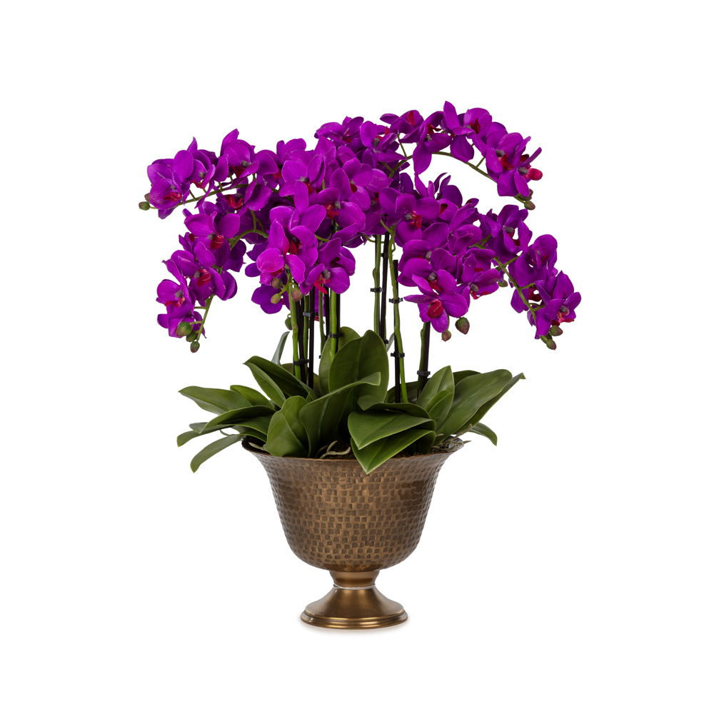 Metal Saksıda Islak Dokulu Fusya Orkide Aranjman (55 CM) Metal Saksıda Islak Dokulu Fusya Orkide Aranjman (55 CM)