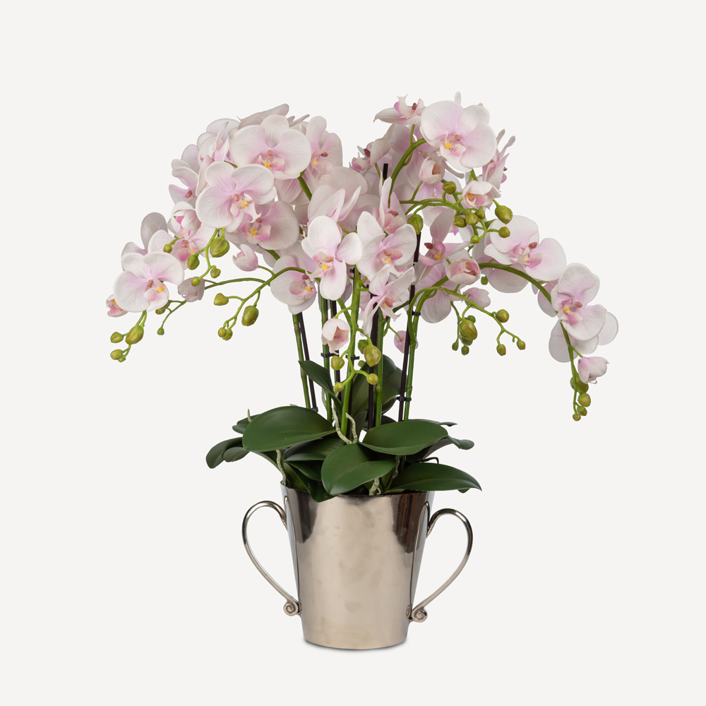 Metal Saksıda Islak Dokulu Pembe Orkide Aranjman (50 CM) Metal Saksıda Islak Dokulu Pembe Orkide Aranjman (50 CM)