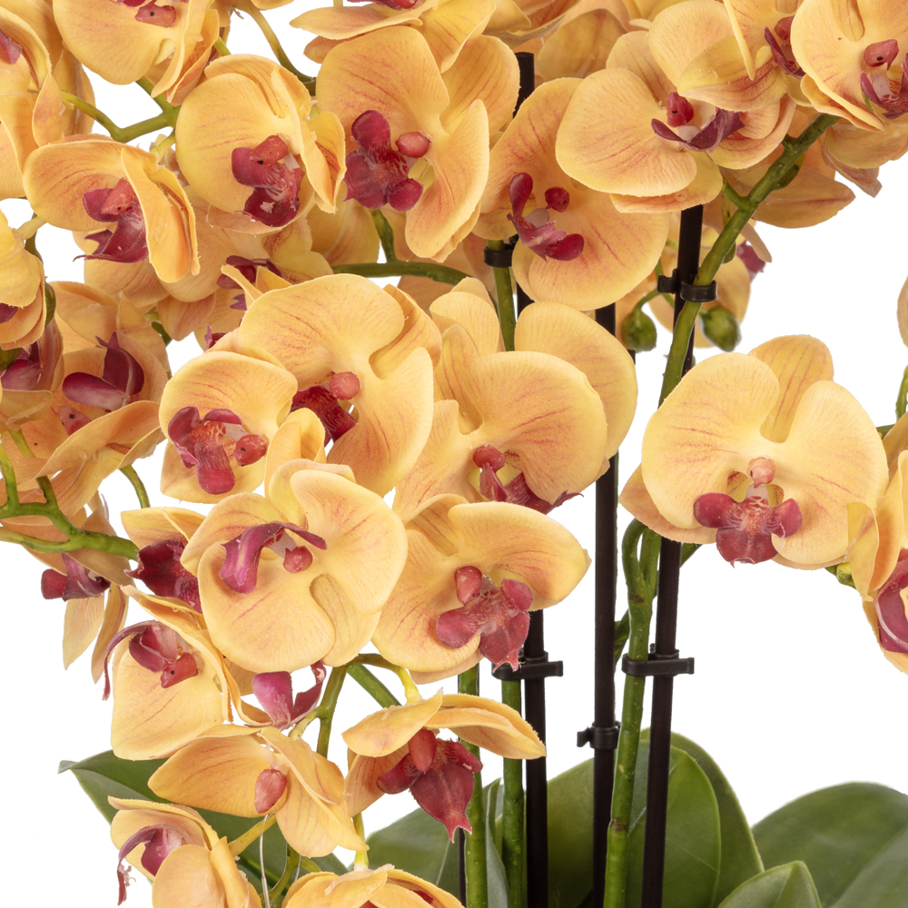 Metal Saksıda Islak Dokulu Sarı Orkide Aranjman (50 CM) Metal Saksıda Islak Dokulu Sarı Orkide Aranjman (50 CM) - Görsel 2